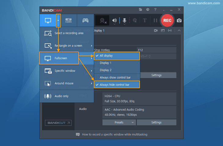 Hiding the Recorder Status bar, around mouse, fullscreen