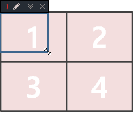 Bandicam, Screen capture software