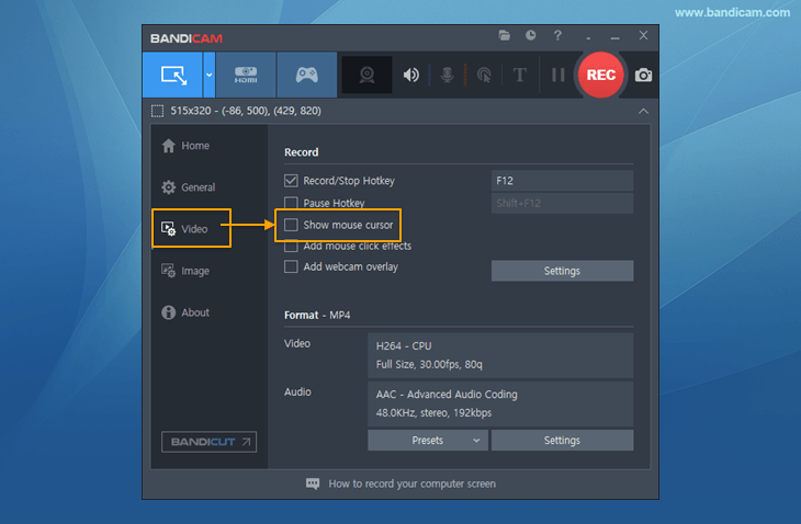 Bandicam, uncheck the Mouse Cursor option