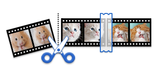 Easy Video Cutter and Fast Video Cutter