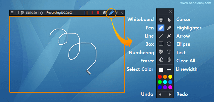 Bandicam, drawing function
