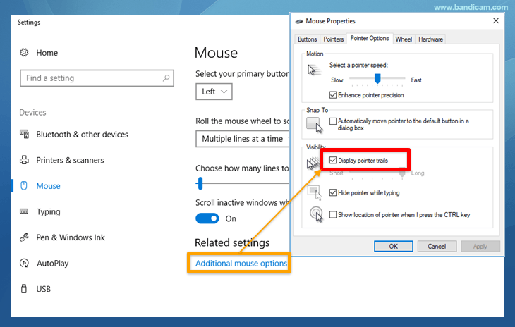 Show Mouse Pointer, Display pointer trails