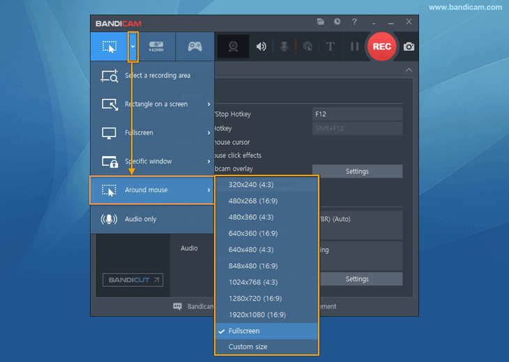 Bandicam, record around mouse, record a partial area