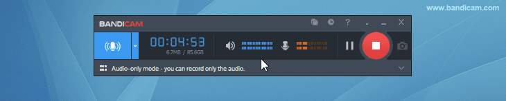 mute speakers, mute microphone