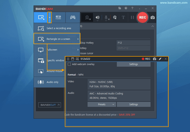 Screen recording window