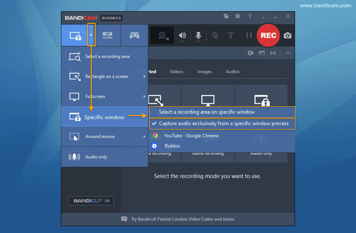 Bandicam, record specific area