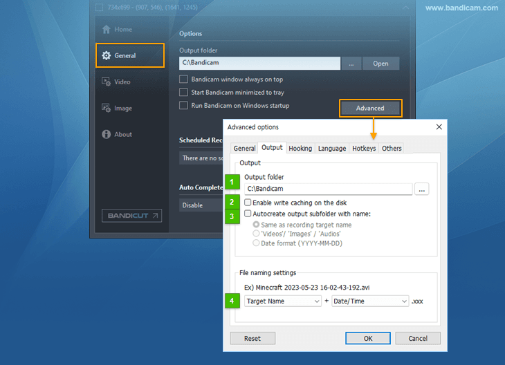 Bandicam - Advanced settings, Output