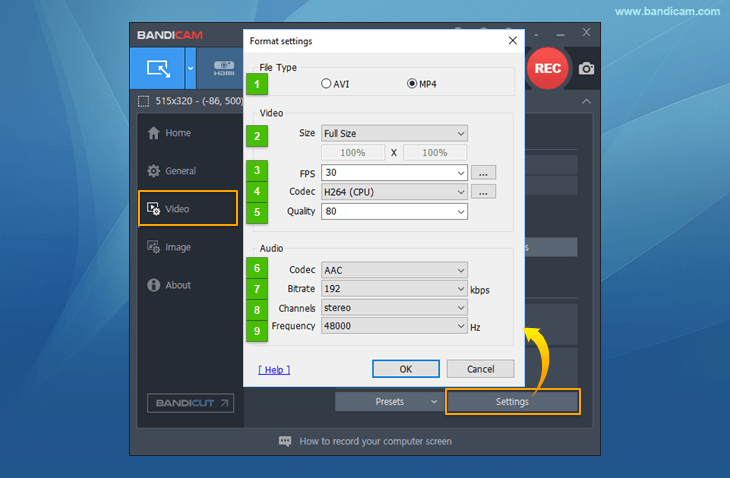 Bandicam format settings