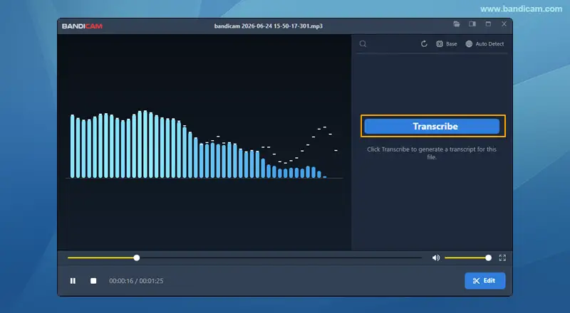 transcribe audio to text