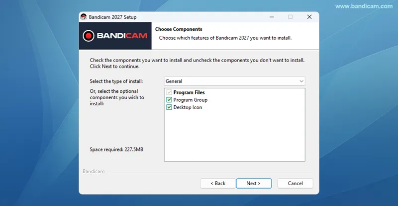 Choose Bandicam installation components