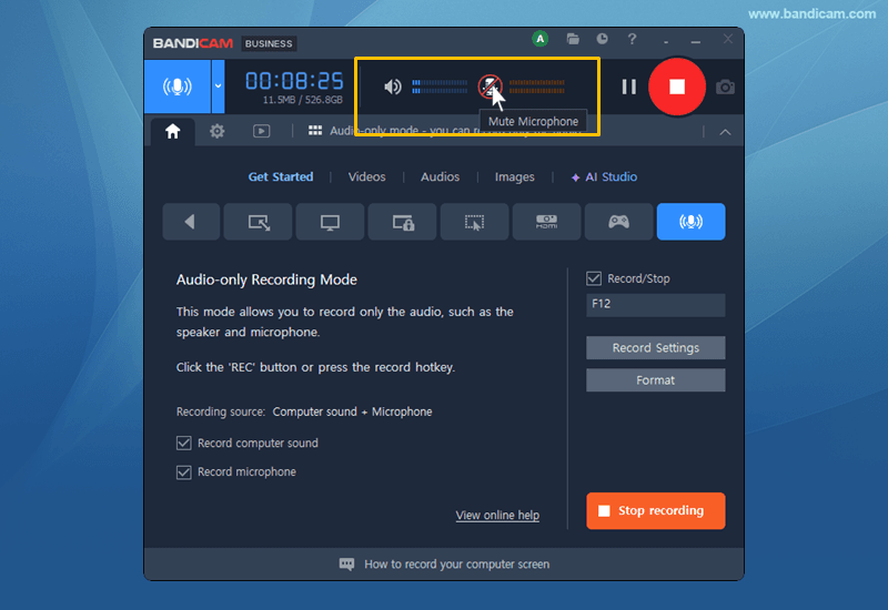 Mute speaker or microphone during recording