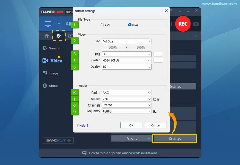 File type, video size, FPS, codec, quality, and audio format