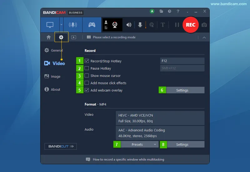 Video tab recording controls, presets, and format settings