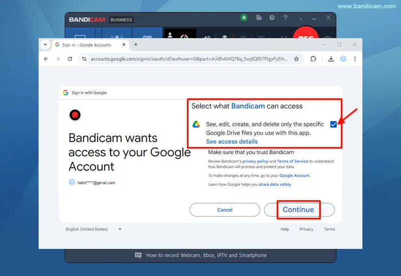 Allow Bandicam Google Drive access
