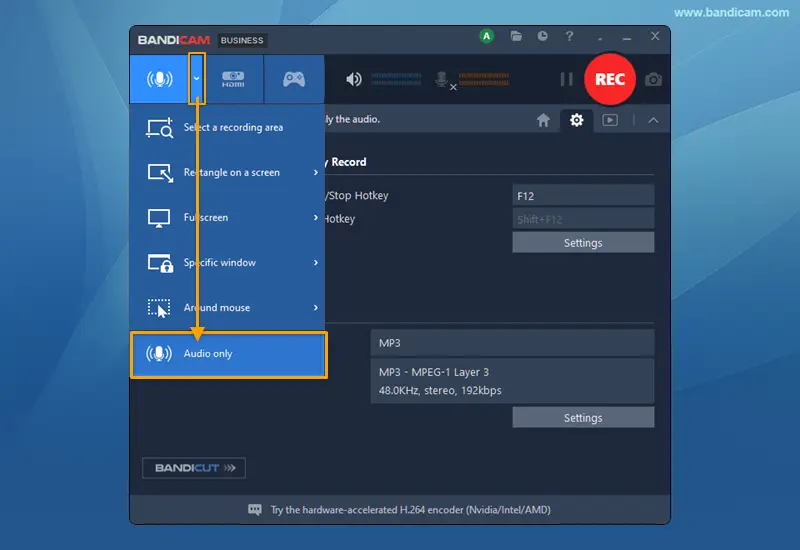 Bandicam Audio only recording