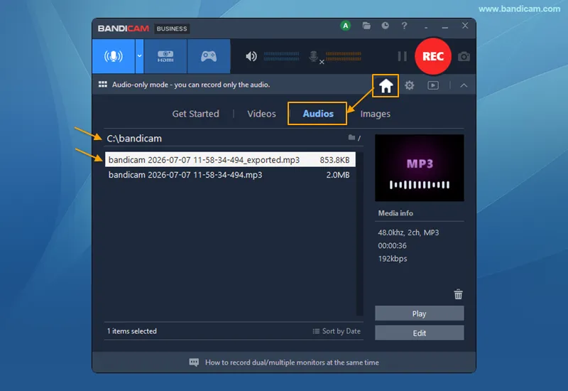 Bandicam exported audio file