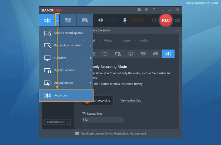 record discord audio audacity