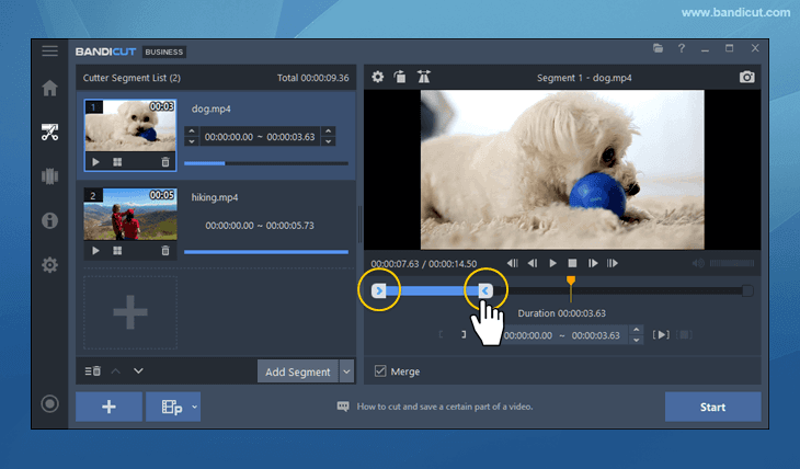 adjust bandicut section