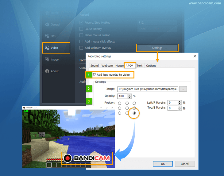 how to remove the bandicam logo