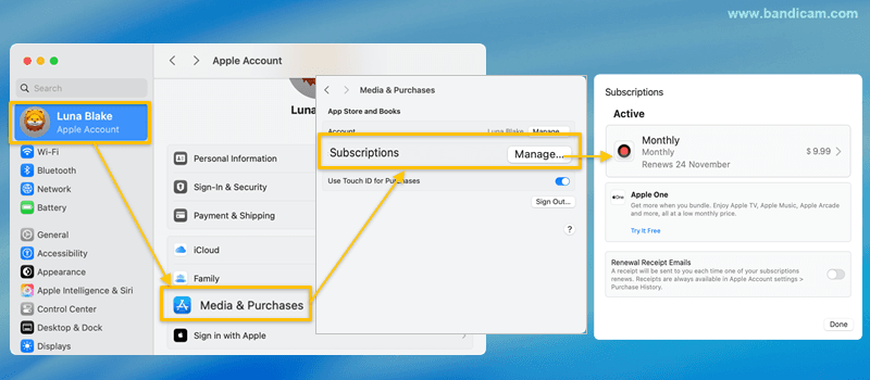 Hantera Bandicam Pro-prenumeration