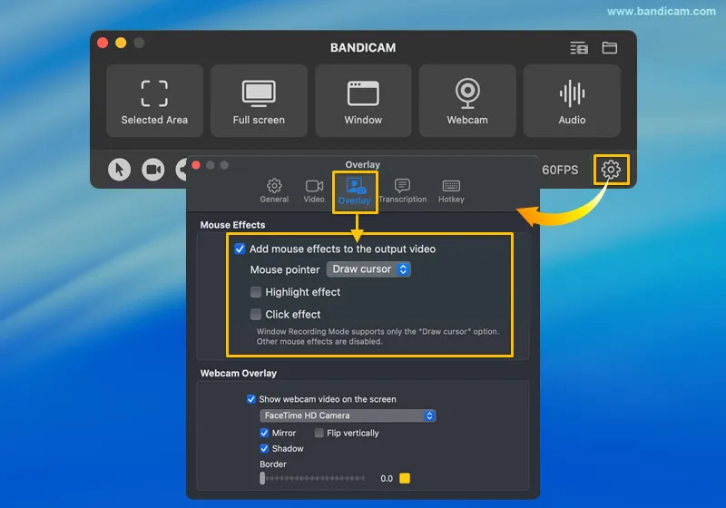enable mouse cursor