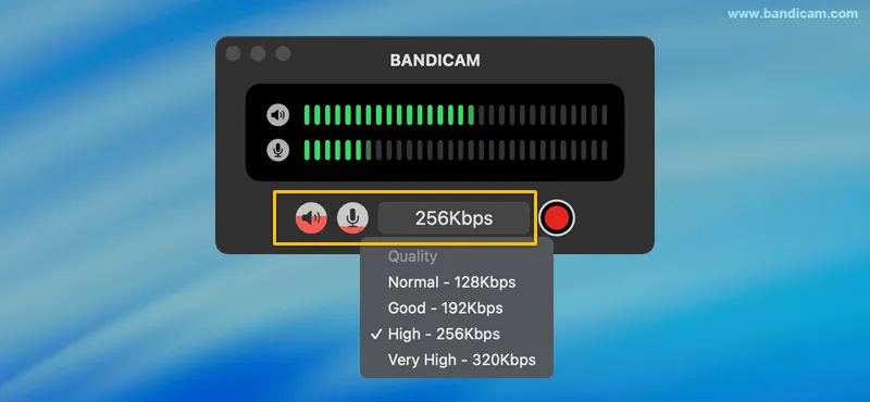 configure audio source and quality