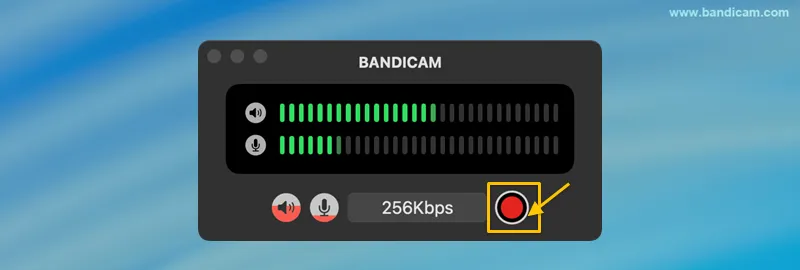 start recording audio only on Mac