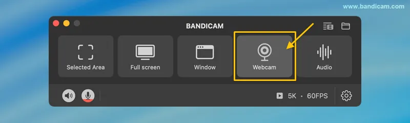 pilih webcam