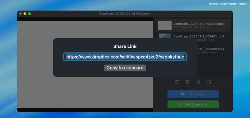 dropbox share link