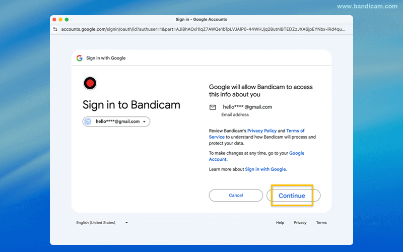 Bandicam google access