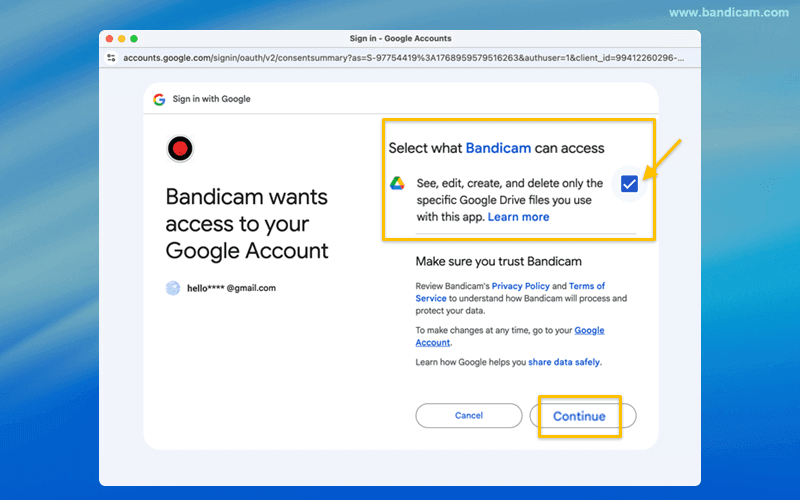 Bandicam goolge drive access