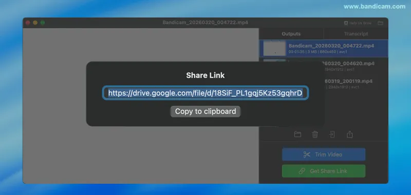 ссылка общего доступа Google Drive