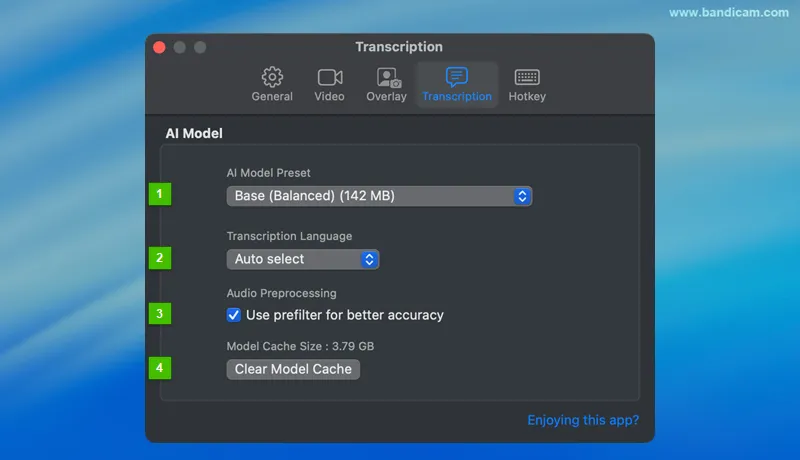 Transkriptionseinstellungen