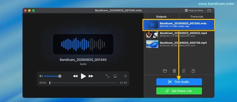 Trim Audio button in Bandicam
