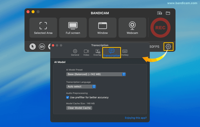 transcription settings