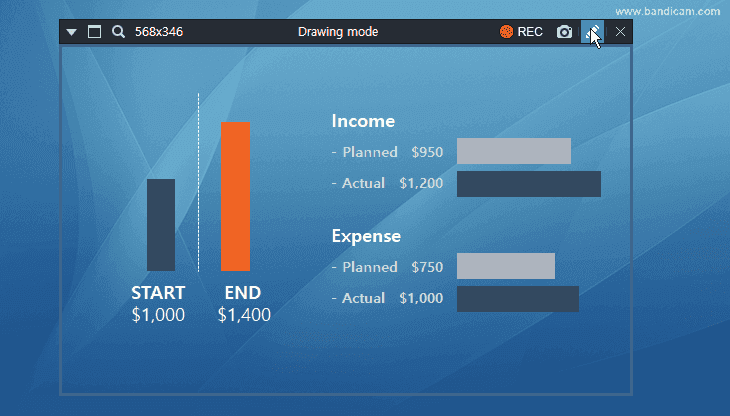 Bandicam Screen Recorder, Drawing