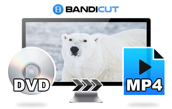 Dvd deals to mp4