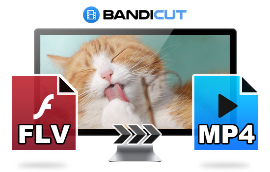 how to change flv to mp4