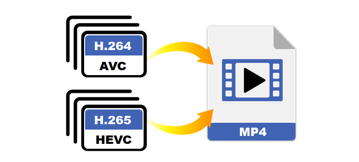 H.264 vs. H.265, HEVC to MP4 Converter