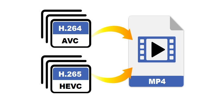 H 264 Vs H 265 How To Convert HEVC To MP4 Bandicut