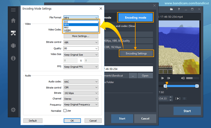 .mkv video codec