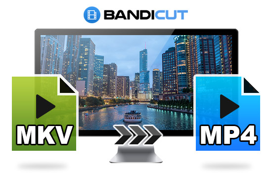 mkv to mp4 converter reg code